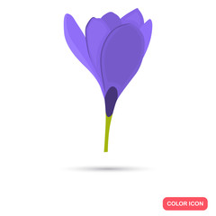 Crocus color flat icon for web and mobile design