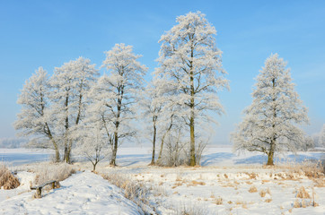 Beautiful winter landscape