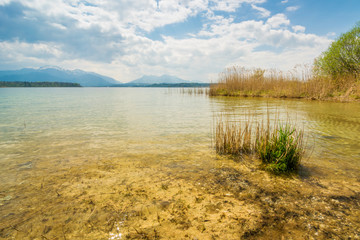 Frühlingstag bei Breitbrunn am Chiemsee, Bayern in Deutschland