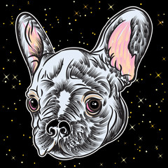 Portrait of  a dog on black background. Hand drawn puppy illustration. T- shirt and tattoo doggy concept design in black and color with gold glitter sparkles golden stars. Vector.