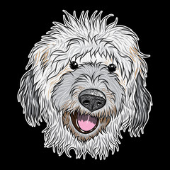 Portrait of  a dog on black background. Hand drawn puppy illustration. T- shirt and tattoo doggy concept design in black and color. Vector.