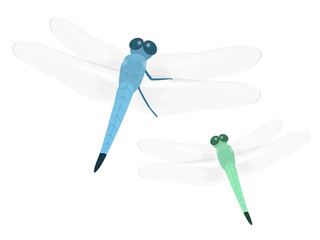 トンボ © R-DESIGN