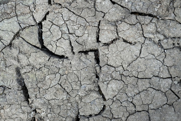 Dried and cracked earth background