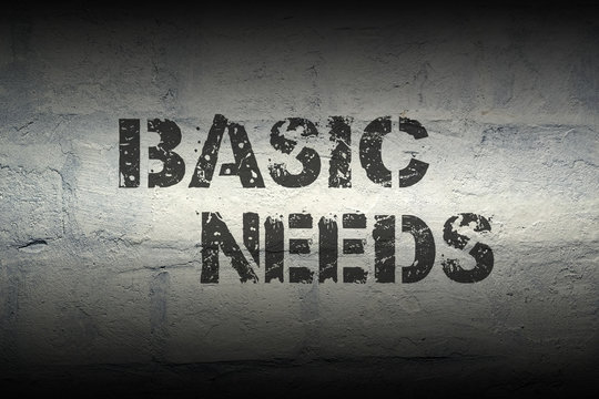 Basic Needs Gr