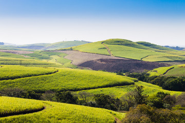 A view of the Valley of a Thousand hills near Durban, South Africa