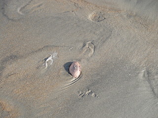 Interesting patterns in the sand