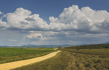 Picturesque rural view with cloudy sky and country road leading to the Daffodils Meadow, the largest natural reservation of daffodils in Europe, Brasov county, Romania. Travel destinations.