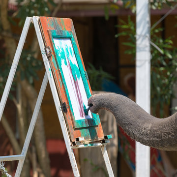 An elephant draws a picture with a brush
