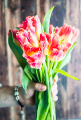 Man taking a tulips