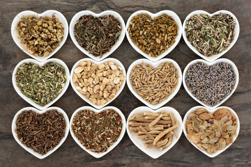 Alternative Medicine for Anxiety Disorders