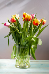 Colorful tulips in glass vase. White background.