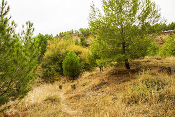 Landscape in Madrid