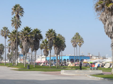Venice Beach view