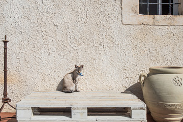 Facciata di una casa con la porta d'ingresso