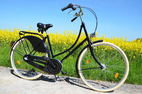 rennrad 56 rahmenhöhe ITETONE 700C Rennrad-Rahmen-Set aus Aluminiumlegierung mit Kohlefaser-Gabel 44/47/50/53/56 cm Scheibenbremsrahmen Steckachse 12 x 100 mm/12 x 142 mm The Lumenier Axii HD sensibelsten Color:AQUA
