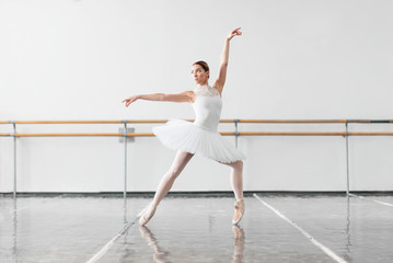 Beautiful female ballet dancer in class