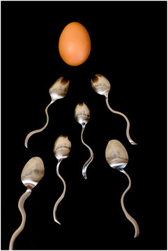 Concetto di spermatozoi e ovulo