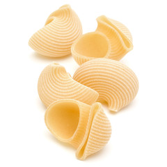 Italian lumaconi isolated on white background. Lumache, snailshell shaped pasta.