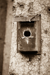 wooden birdhouse