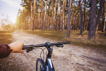 Fototapeta na wymiar cyclist rides in the forest on a bike.
