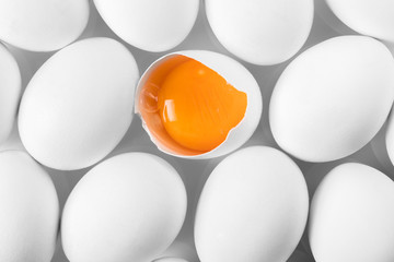 chicken white eggs closeup