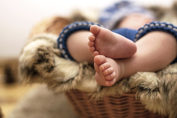 Baby feet
