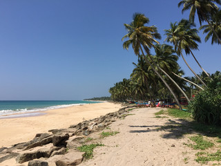 Tropical beach with palm trees. Sri Lanka