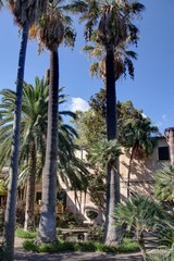 Fototapeta premium maison typique de Majorque (Baléares)