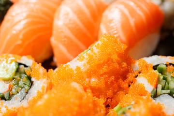 Set of sushi macro shot. Japanese food