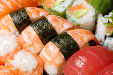 Set of sushi macro shot. Japanese food