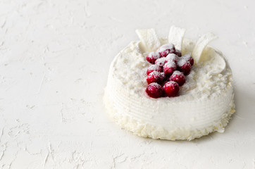 Delicious cheesecakes with cranberries, cherries, coconut flakes and white chocolate on light concrete background. Copyspace.
