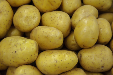 Food background - golden beautiful potatoes 