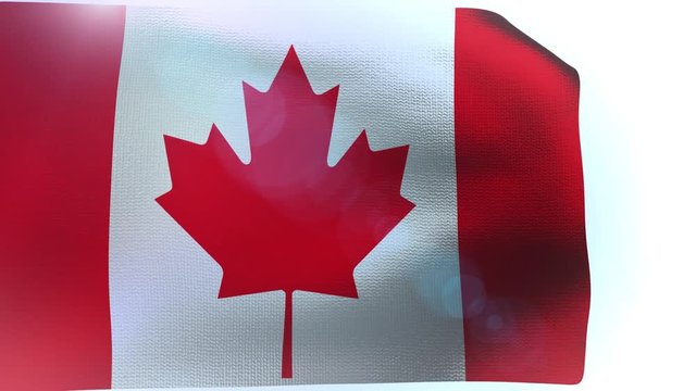 Canada waving flag in the wind wave