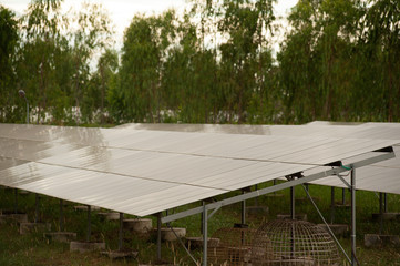 Solar panels (solar cell) in solar farm with sun lighting to create the clean electric power.