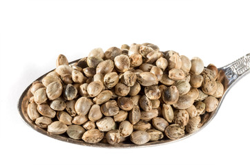 Marijuana seeds in a metal measuring spoon isolated on white background.