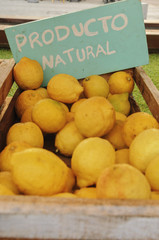 Lemons in a basket at the fair