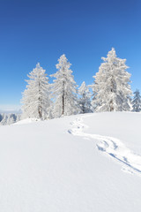 Fototapeta na wymiar Spuren der Winterwanderung