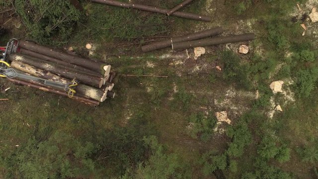 AERIAL CLOSE UP Flying above red logging tractor with loaded trailer driving in reverse to the harvesting place in the woods. Timberjack loader loaded with tree trunks collecting harvest in the forest