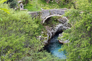Fototapeta premium Traditional stone bridge in Thessaly, Greece
