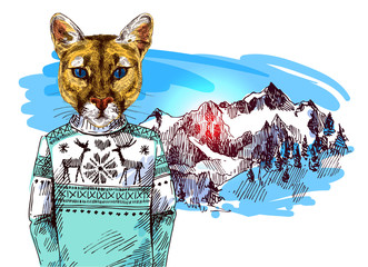 Puma in knitted sweater in mountains landscape.