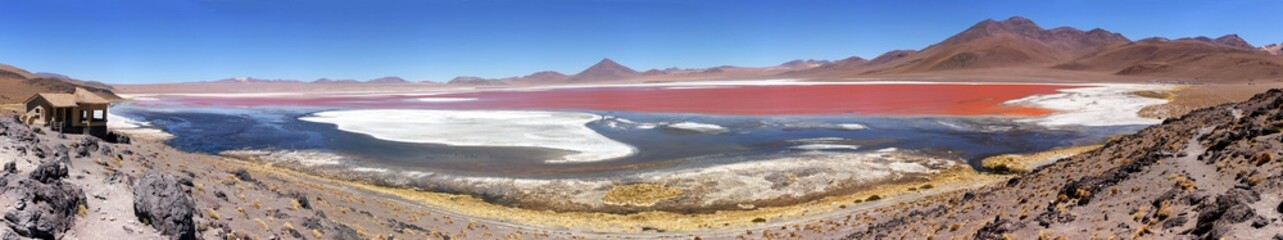 Flamingos at the colourful Laguna Colorada on the Altiplano high plateau, Bolivia