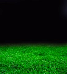 Tempalte with dark night and beautiful green grass