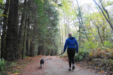 Exploring Washington State, the Great Pacific Northwest