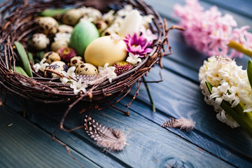 Nest with easter eggs on a blue wooden background