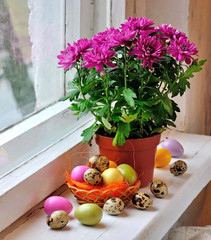 Bunch of chrysanthemum and Easter eggs on the windowsill.
