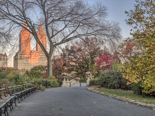 Bow bridge Central Park