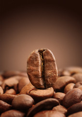 Macro of coffee bean on brown background