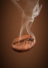 Closeup falling coffee bean with smoke on brown background