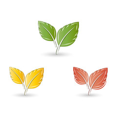 Set of leaves. Element for design. Vector illustration