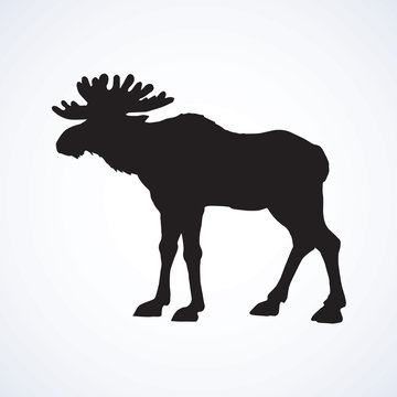Elk. Vector drawing